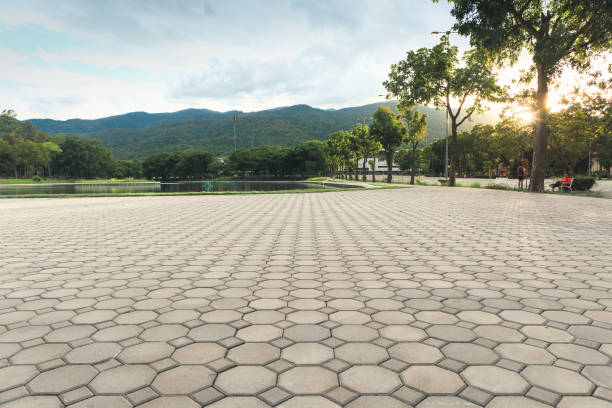 Best Residential Paver Driveway  in Fort Smith, AR